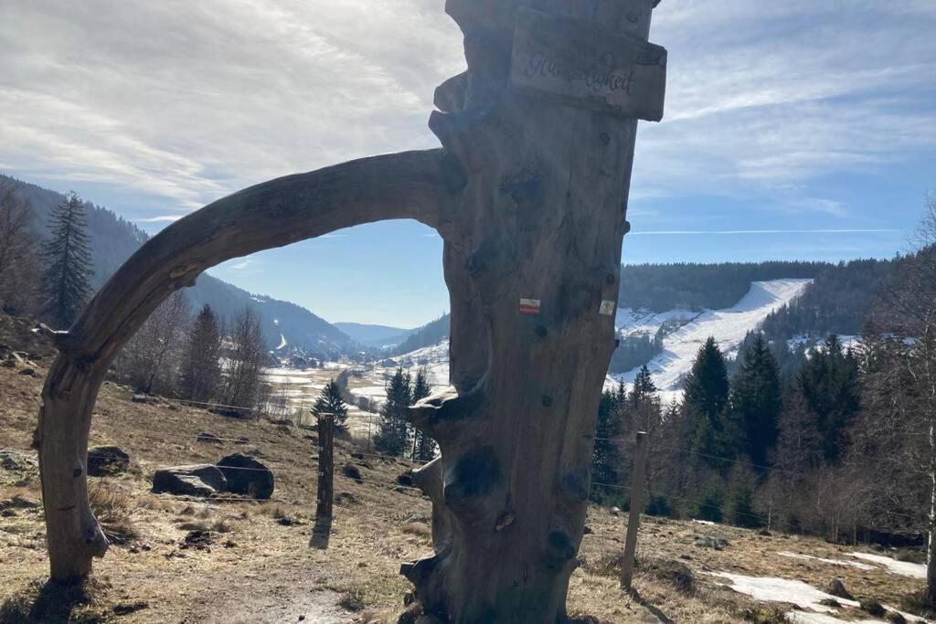 Gemütliche Ferienwohnung in Sankt Blasien Exterior foto